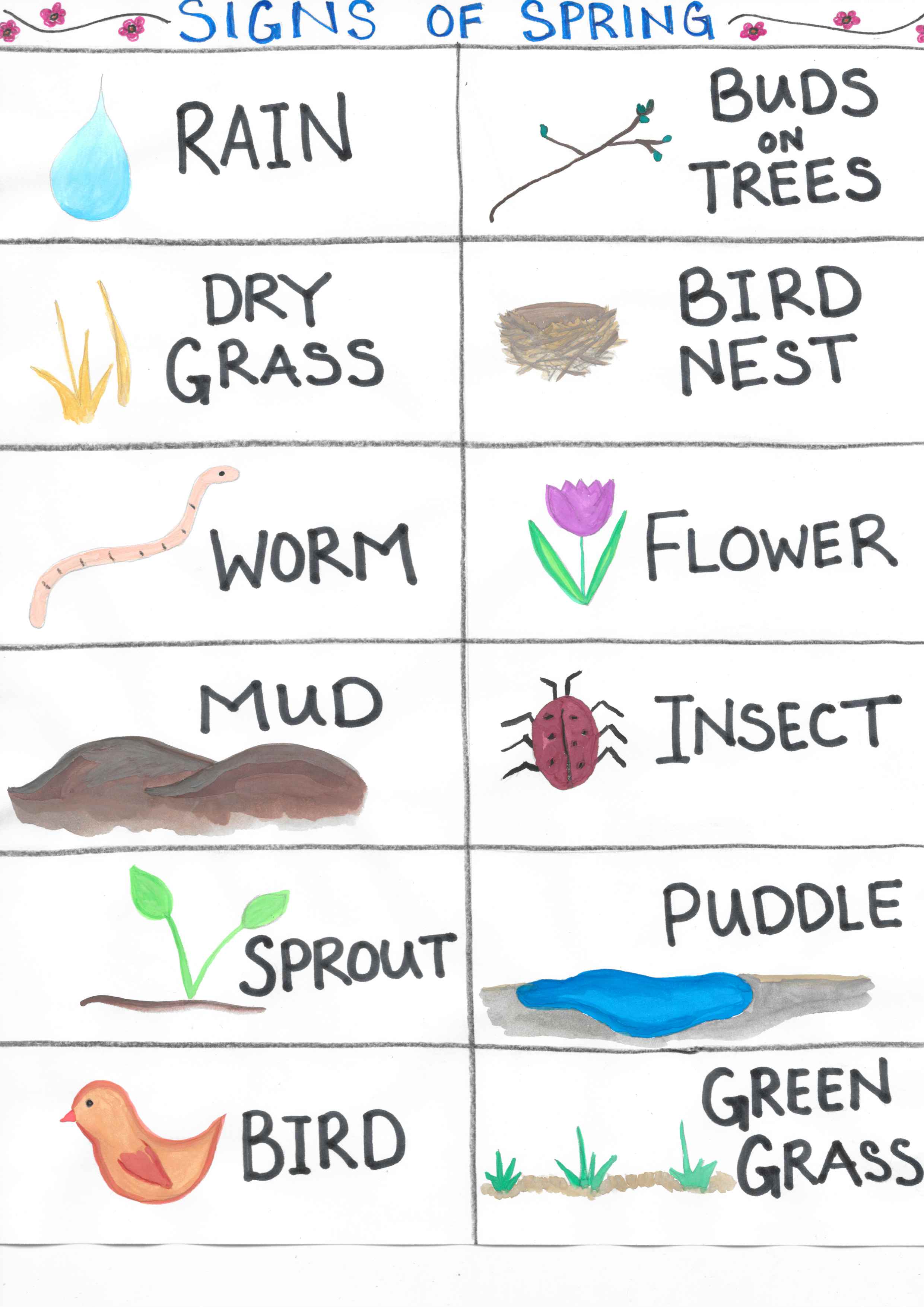 Best Spring Symbols for Kids Fun Nature Signs to Learn About