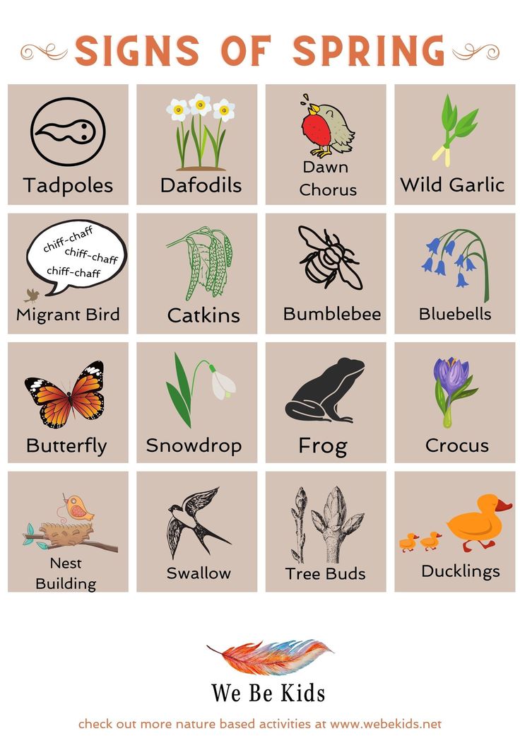 Best Spring Symbols for Kids Fun Nature Signs to Learn About