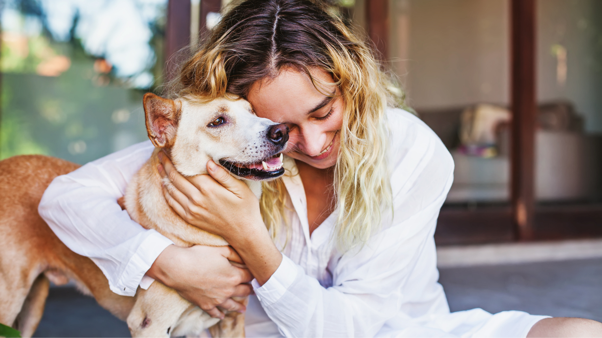 Why join a pet gala? Top benefits for pet owners!