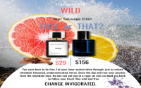 Why choose perfume dupes meaning? Discover amazing money-saving tricks.