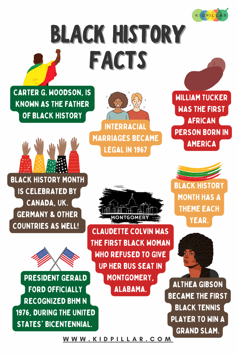 What is new ebony get facts you need to know
