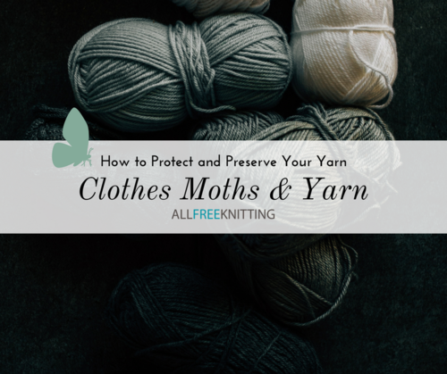 What Causes Knits Bugs How To Save Your Sweaters Fast