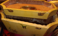 Best Ways to Clean Antique Wooden Purses? Simple Tips for Perfect Care!