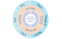 Kim Mingi Photo vs Video Content: Key Pros and Cons Explained