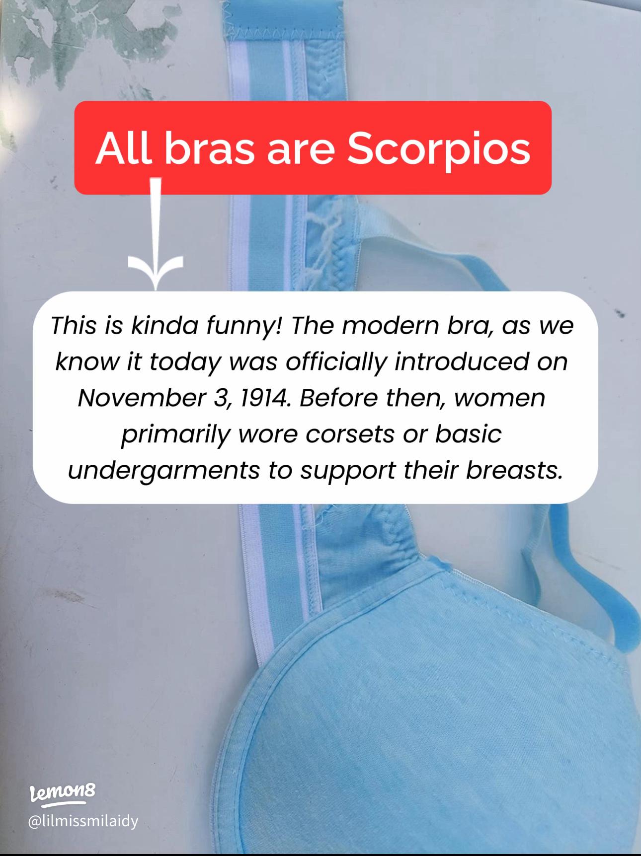 big bust women myths debunked truth nobody tells you now
